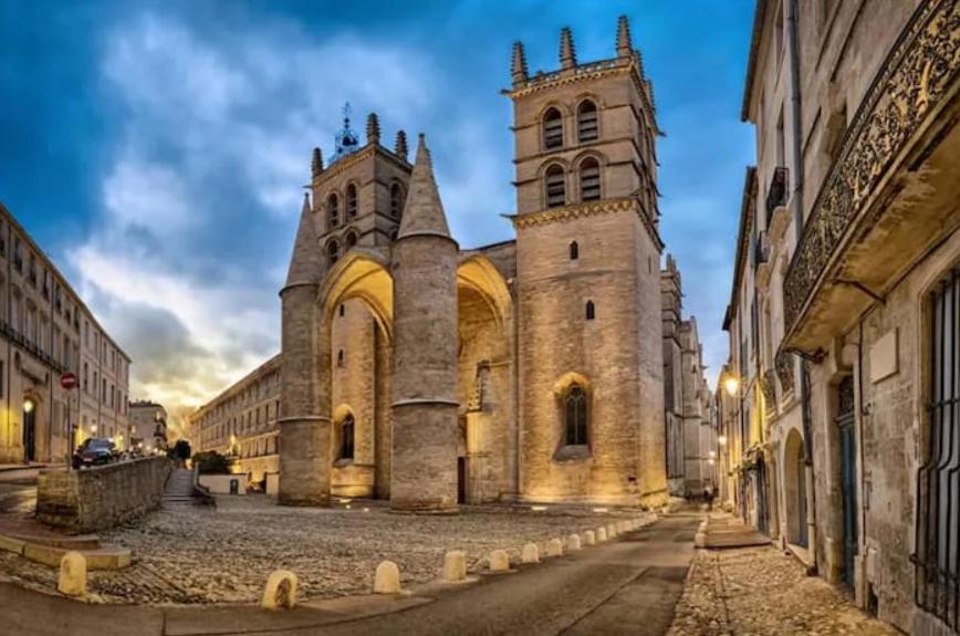 Place De La Comedie - Magnifique T2 Au Calme Montpellier Eksteriør bilde