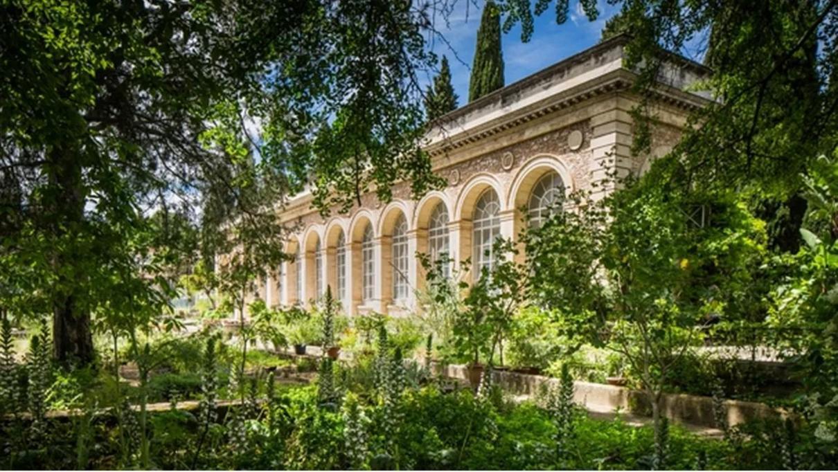 Place De La Comedie - Magnifique T2 Au Calme Montpellier Eksteriør bilde